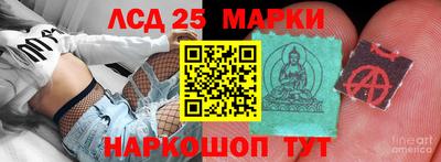 гашик Можга