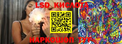 гашик Можга