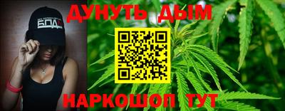 гашик Можга