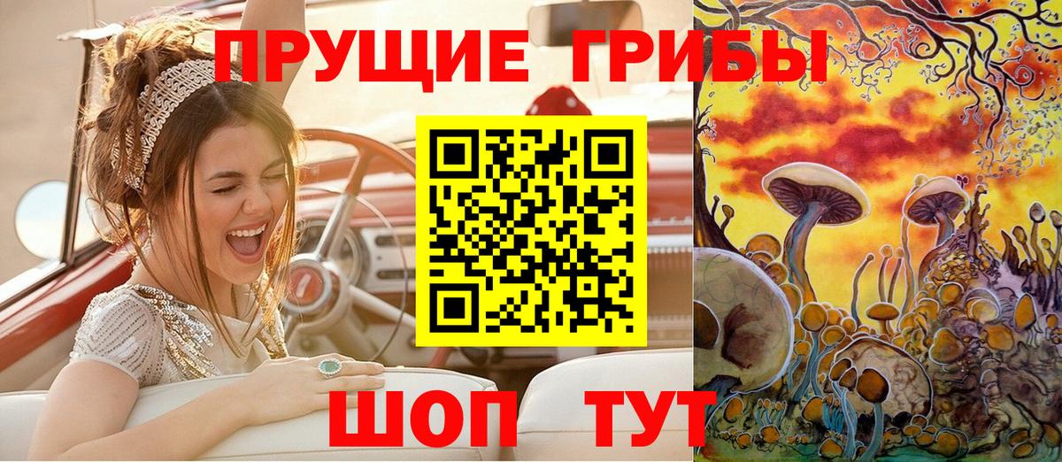 Торжок  Псилоцибиновые грибы мицелий  Вход с VPN  Псилоцибиновые грибы прущие грибы 