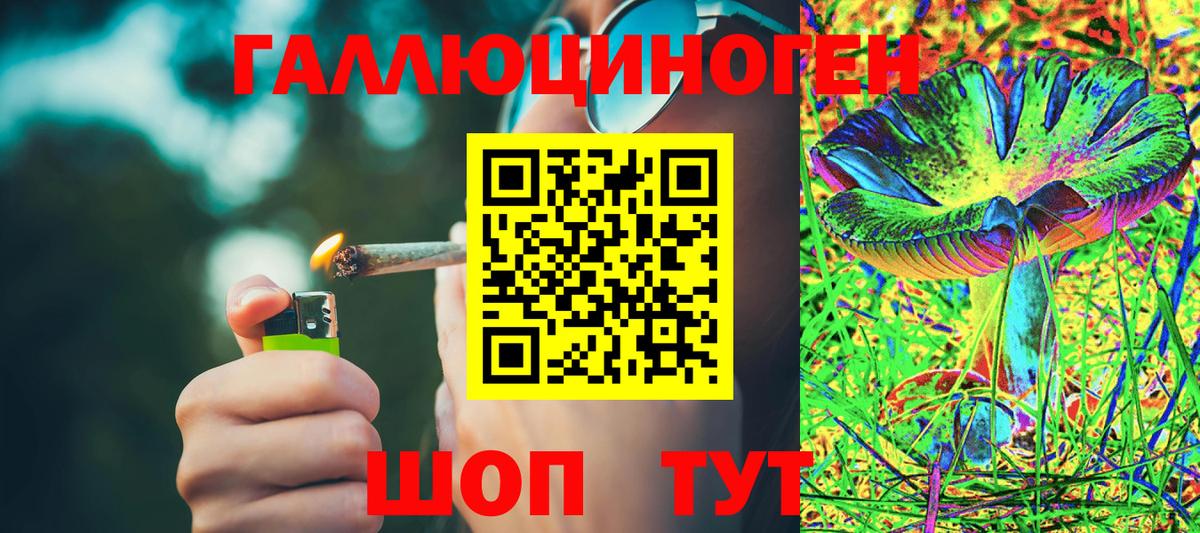 Галлюциногенные грибы ЛСД Торжок